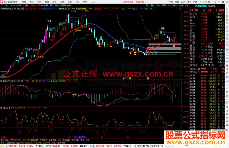 通达信筹码MACD副图指标公式不加密 无未来