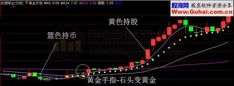 黄金手指 点石成金 持股持币一目了然