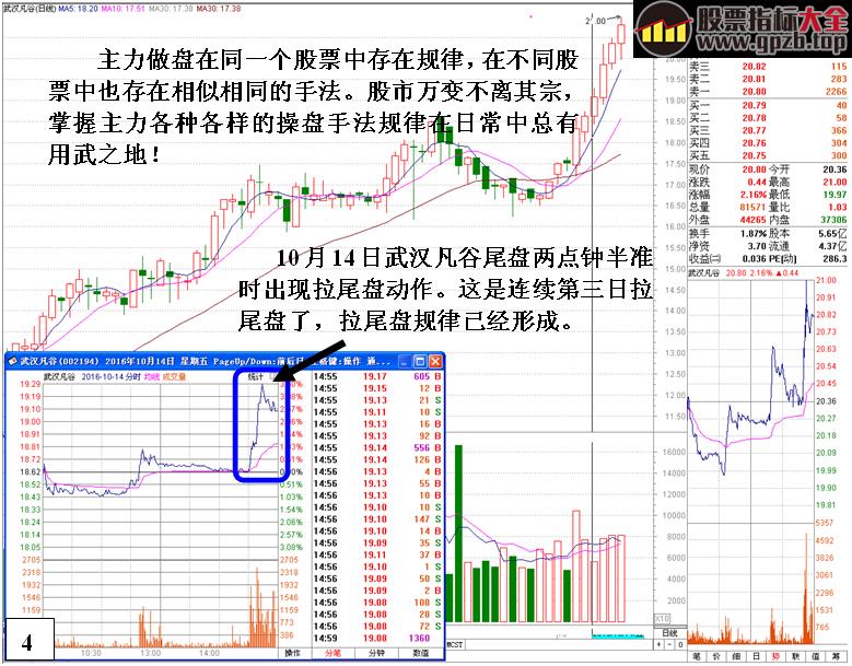 [金印组合]庄家个体行为的操盘规律