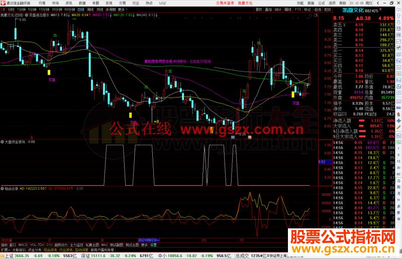 通达信大盘资金进场副图指标公式源码