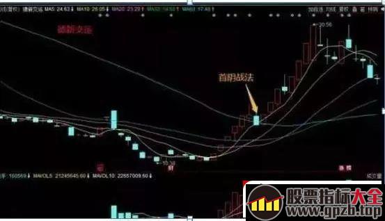 龙头股“首阴”战法，次日竞价100%涨停，掌握2年10万轻松赚500万（图解）,股票指标大全（gpzb.top）