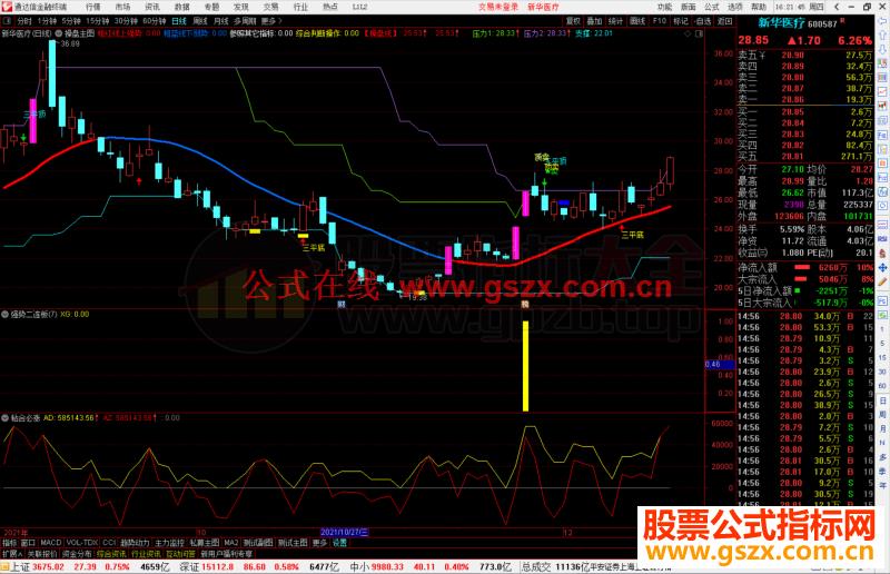 通达信强势二连板 强势股一网打尽副图源码