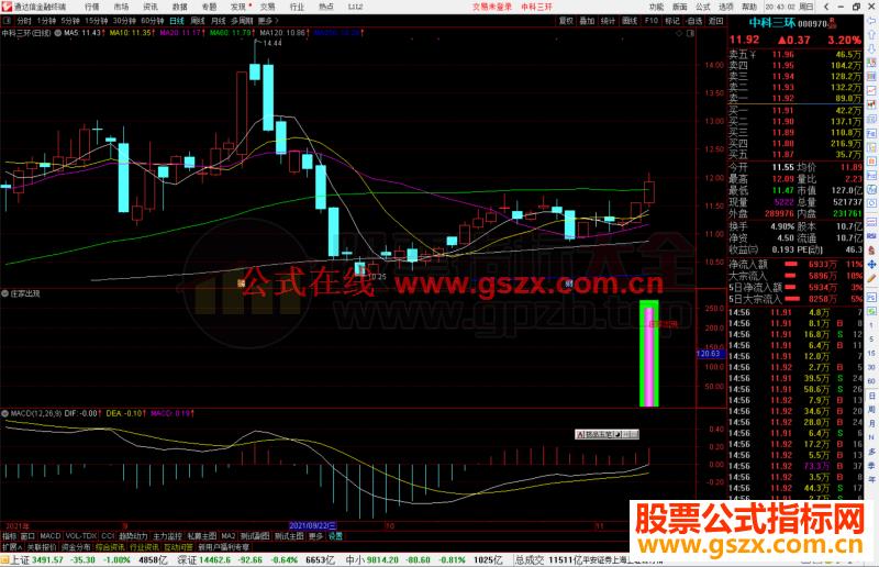 通达信庄家出现副图/选股预警指标公式源码