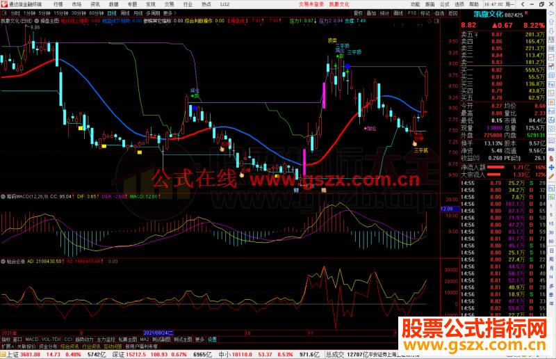 通达信筹码MACD副图指标公式不加密 无未来