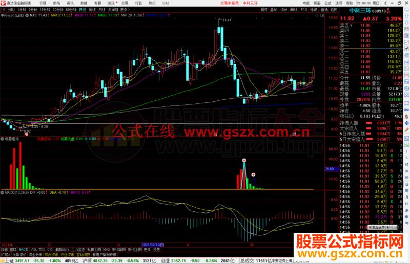 通达信私募进场+MACD底背离副图/选股预警指标公式源码