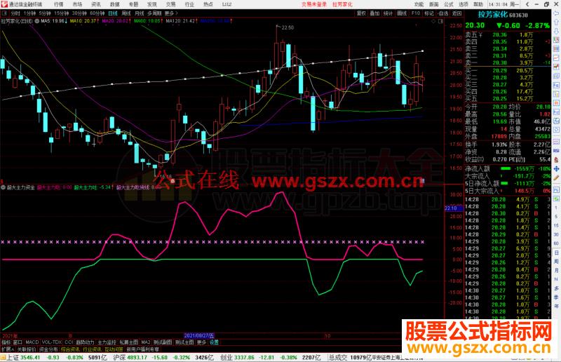 通达信超大主力资金吃吐线副图指标源码 