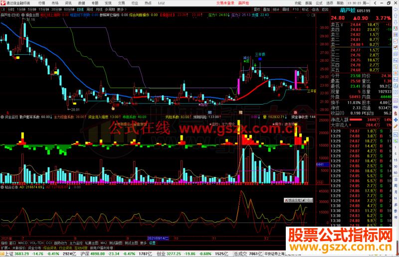 通达信资金监控 操作提示副图指标公式源码 