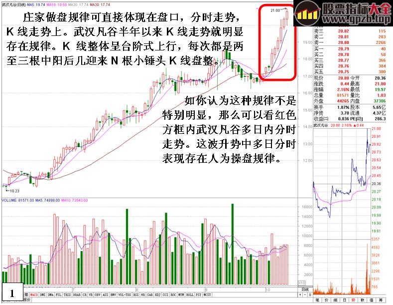 [金印组合]庄家个体行为的操盘规律