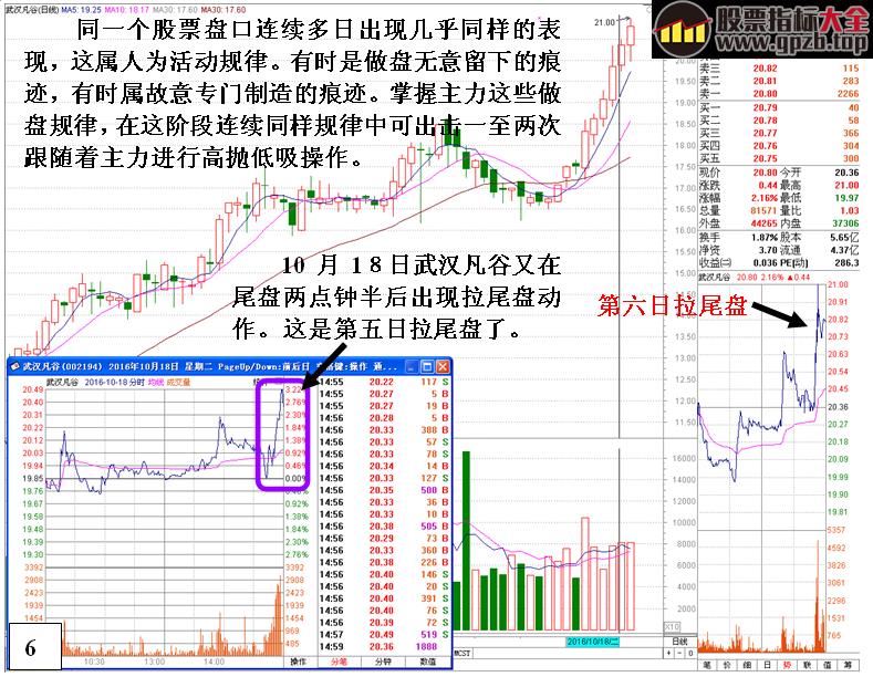 [金印组合]庄家个体行为的操盘规律